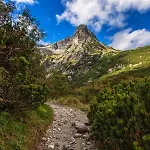 Lastovicka , With Mountain View ,free Parking And Few Steps To The Shop * Stará Lesná