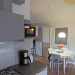 Lastovicka , With Mountain View ,free Parking And Few Steps To The Shop Apartmán *