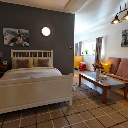 公寓 Lastovicka Stará Lesná