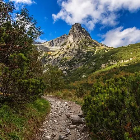 Lastovicka , With Mountain View ,free Parking And Few Steps To The Shop * Stará Lesná