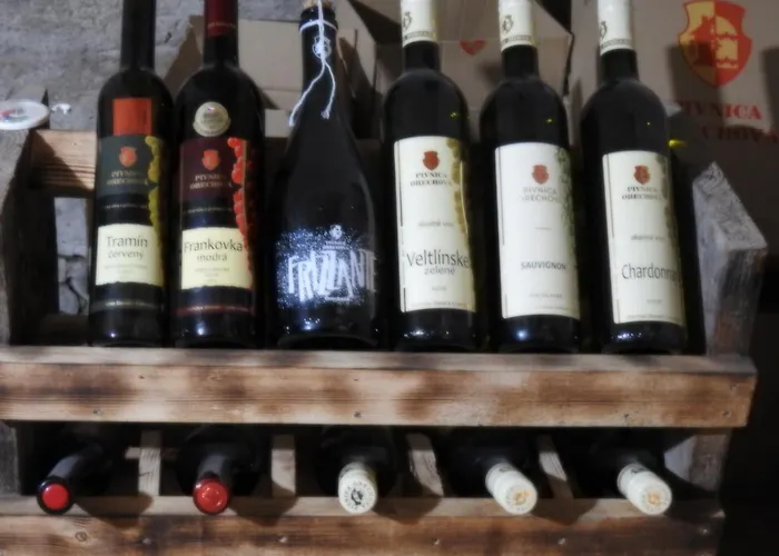 아파트 Lastovicka , With Mountain View ,free Parking And Few Steps To The Shop *